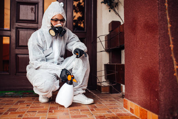 Reliable Wasp Removal contractor in Tioga Terrace, NY by Show Me Pest Control